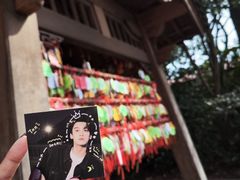-无锡梅园公园