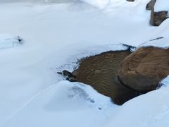 -崂山九水游览区