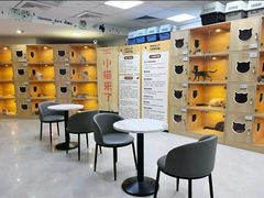 -小猫来了·猫舍(红山六九七九店)