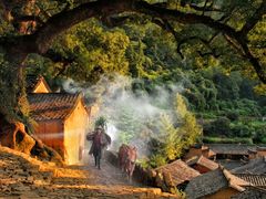 -杨家堂村