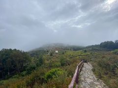 -白草畔自然风景区