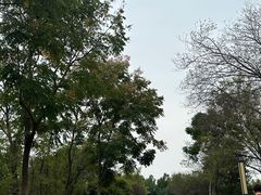 -盘龙城国家考古遗址公园