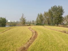 -冶山国家矿山公园