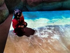 -沈阳海洋探索中心