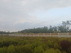 -天津东丽湖风景区