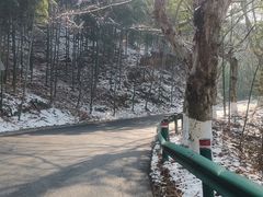-莫干山风景区