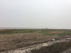-南汇嘴观海公园
