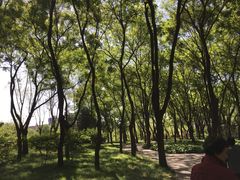 -玲珑塔公园