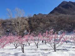 -雾灵西峰