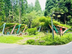 -东平国家森林公园