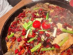 -老板恋上鱼(恒隆广场店)