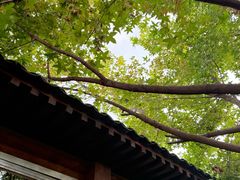 -VOYAGE COFFEE(杨梅竹店)
