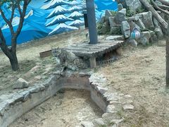 -青藏高原野生动物园