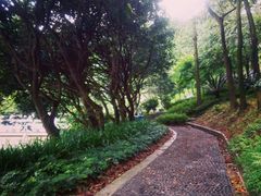 android_upload_pic-广州市帽峰山景区