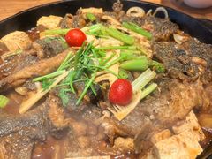 -老板恋上鱼(恒隆广场店)