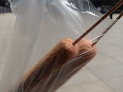 -秦始皇帝陵博物院-丽山园