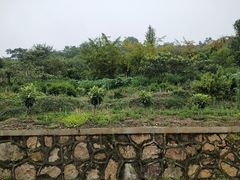 -缥缈峰景区