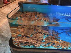 -阿伟海鲜楼·福建菜(延寿店)