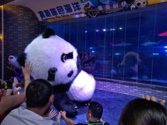 -成都浩海立方海洋公园