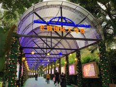 -广州长隆国际大马戏