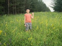 -塞罕坝国家级自然保护区