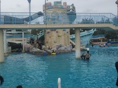 -秦皇岛乐岛海洋王国