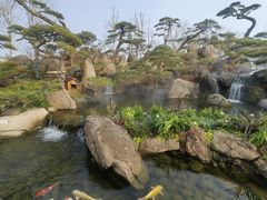 -罗红摄影艺术馆