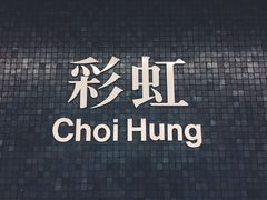 -彩虹村