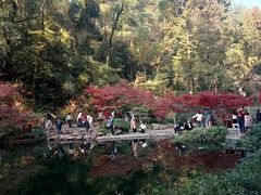 -岳麓山风景名胜区