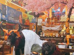 -吉祥圣雪藏餐