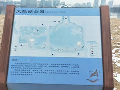 -天鹅湖体育公园