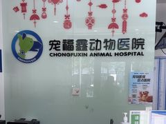-宠福鑫动物医院(望京分院)