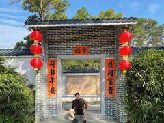 -金山植物公园