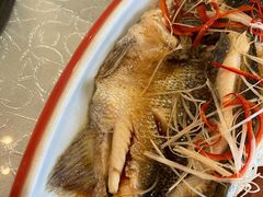 -津悦·正阳春烤鸭(红旗南路店)