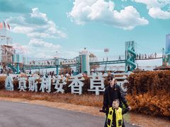 -季高兔窝窝亲子园(上海薰衣草公园店)