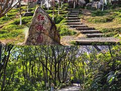 -广州市帽峰山景区