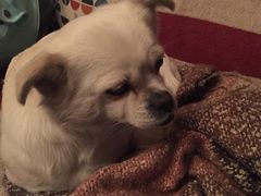 -哈尔滨北方国际青年旅舍(中央大街店)