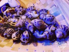 -奥斯汀KTV(金湖店)