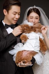 点击看大图 -CD视觉婚纱摄影