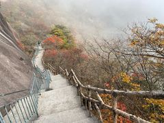 -黄山风景区