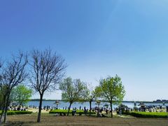 -武清南湖绿博园