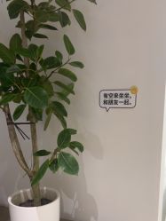 -BR光电保养