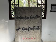 -上海醉白池公园