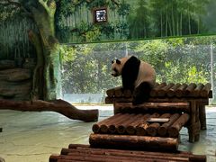 -全聚德(常州店)