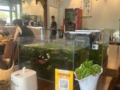 -万达广场(泰安泰山店)