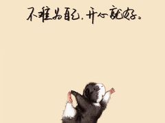 -正德顺順德雙皮奶(中信店)