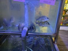 -八仔大富楼·河鲜(西江店)