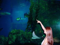-暹罗海洋世界