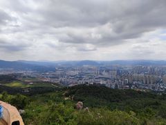 -长虫山生态公园风景林