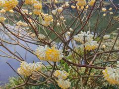 -浙江西子宾馆·瑶园咖啡厅